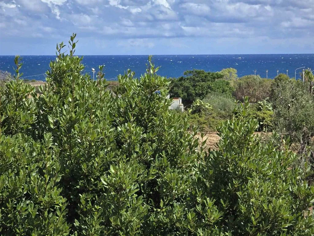 Aed - Apulian Masseria with Sea View in Monopoli