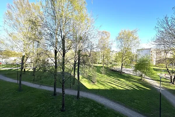 garden