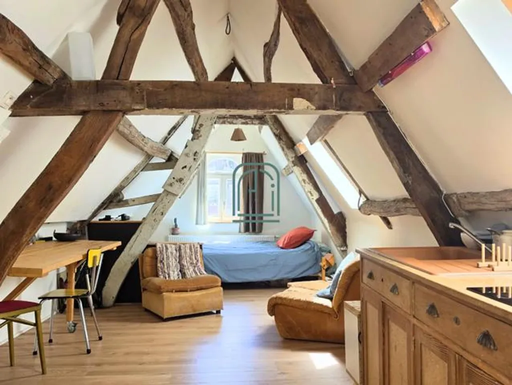 Toad - Triplex with Unique Style in Marolles, Brussels