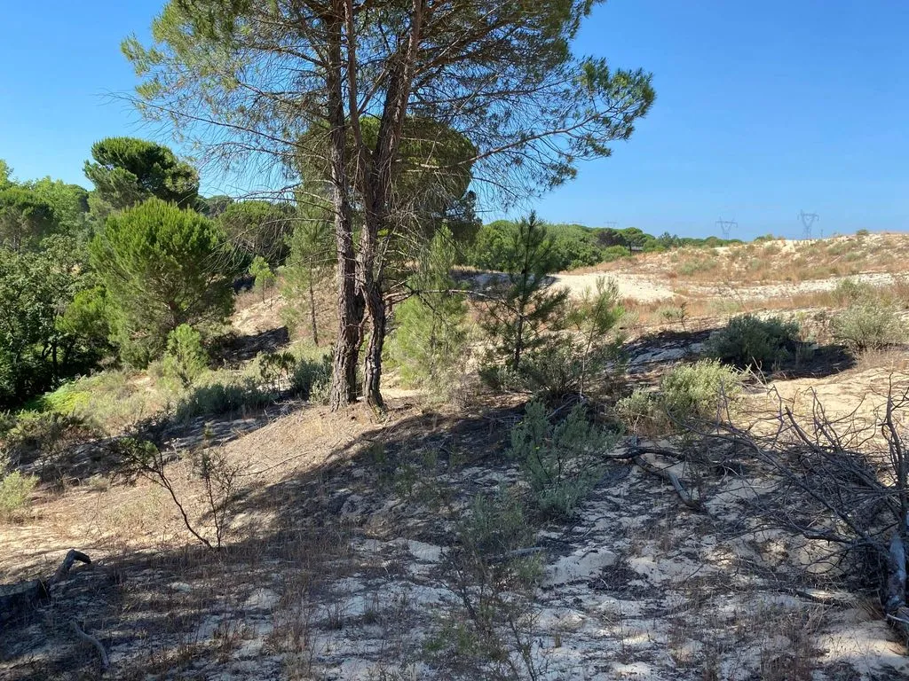 Aed - Buildable Land with Water Access near Grândola