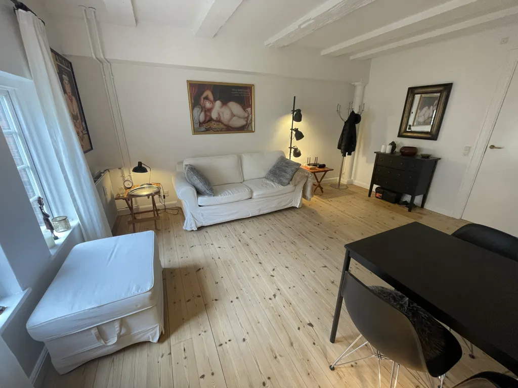 Séjour - Furnished Studio with Garden in Vesterbro