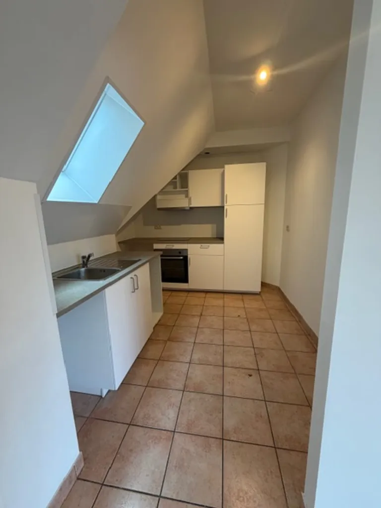 Toad - Spacious Apartment in Marche Centre