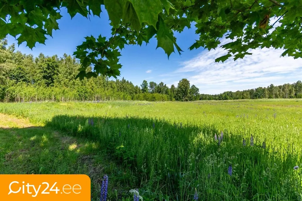 Aed - Agricultural Land with Forest in Sigulda District