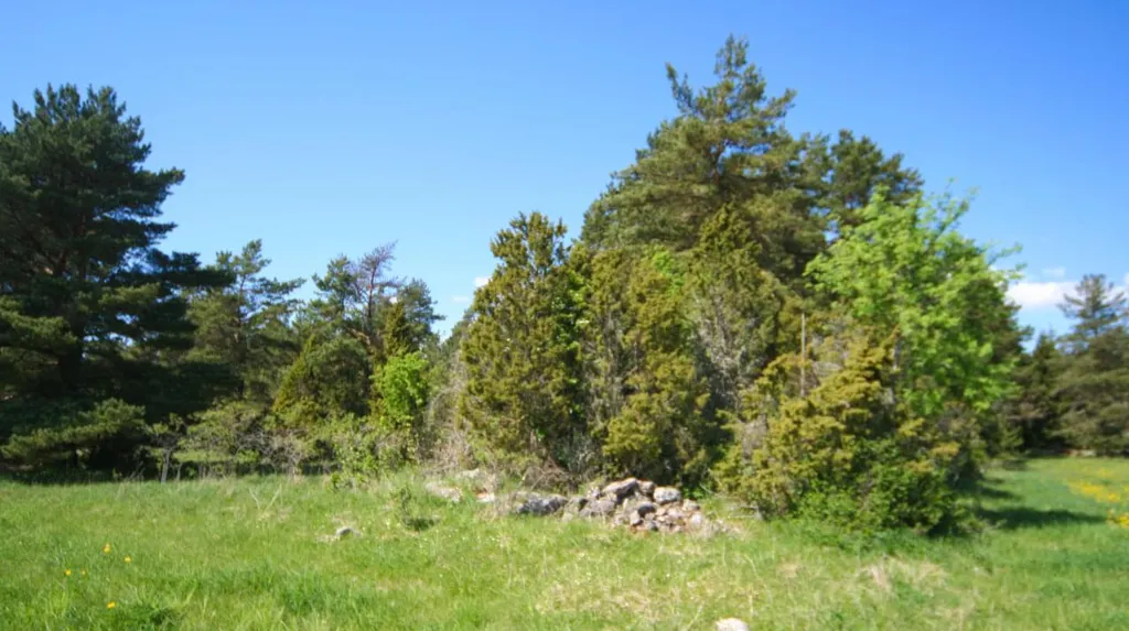 Jardin - Plot with Potential for Cottage in Meiuste
