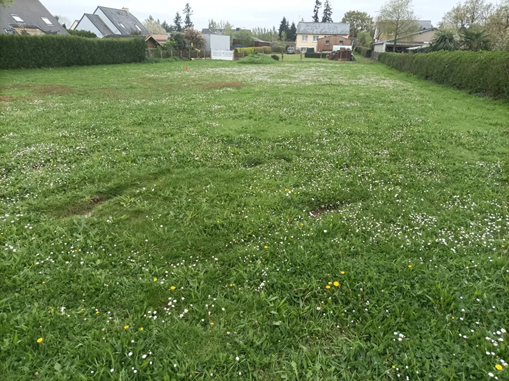 Aed - Construction Plot with Garden in Pléchâtel