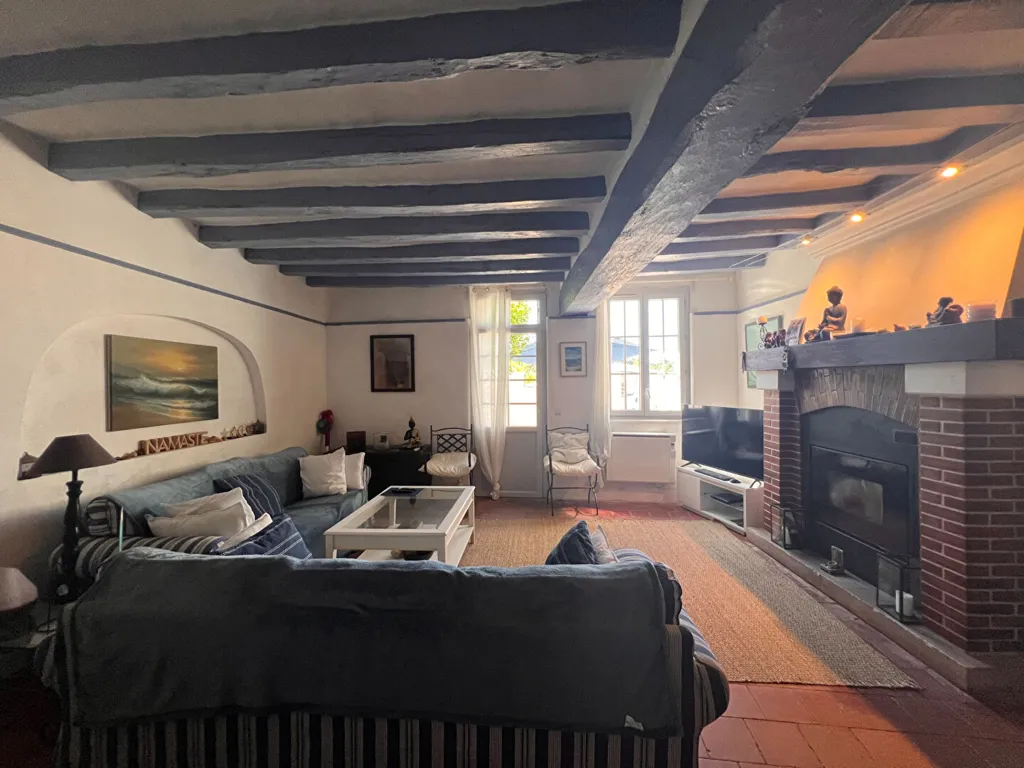 Séjour - Maison semi-troglodyte avec terrasses à Montrichard Val de Cher