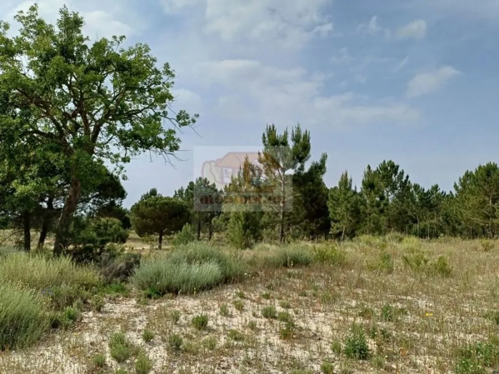 Aed - Luxury House with Alentejo Design in Grândola
