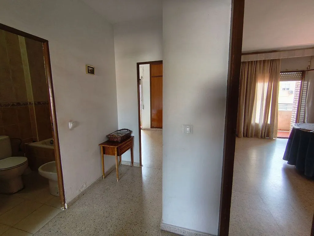 Vannitoad - East-Facing Flat with Terraces in Central Location