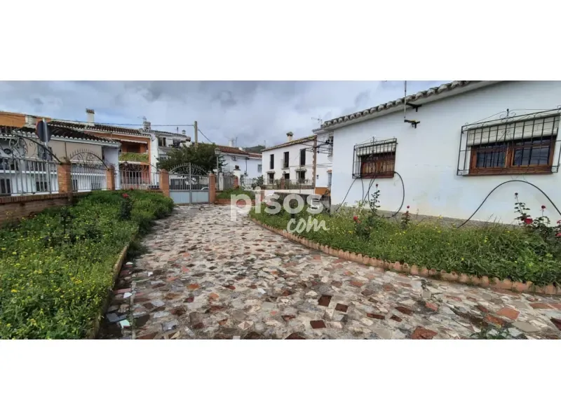 Jardin - Regulated House with Garden in Alcaucín