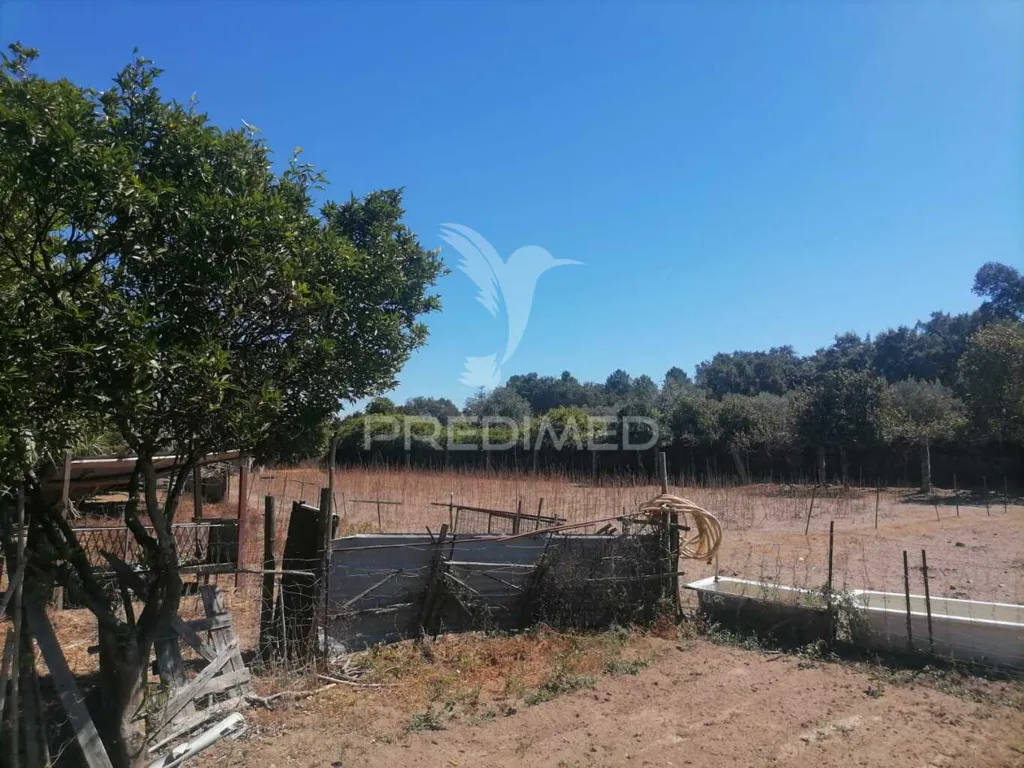 Jardin - Land Plot in Alagoa Centre