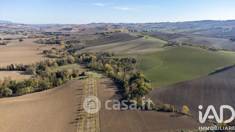 Vista aerea - Traditional Rustico with Olive Trees in Appignano