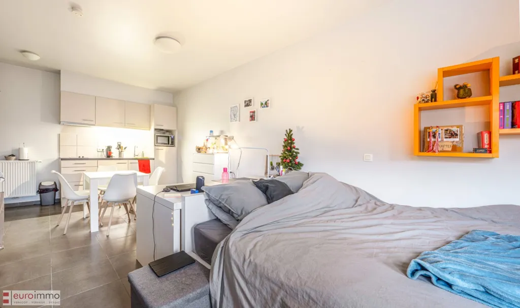 Magamistoad - Modern Student Flat with Elevator in Bruges