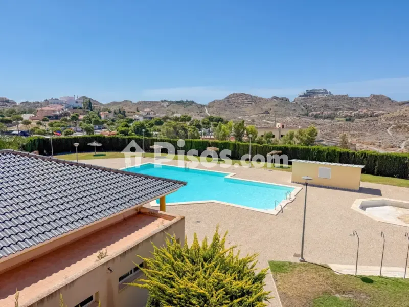 Piscine - Spacious Apartment with Pool in Los Geraneos