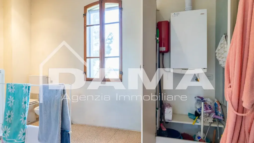 Vannitoad - Rustic Cottage with Private Park in Forlì
