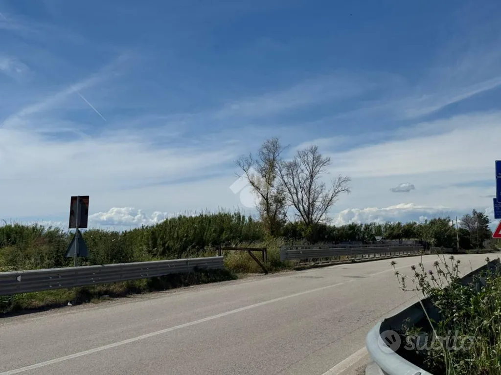 Jardin - Agricultural Land on Casaluce Highway