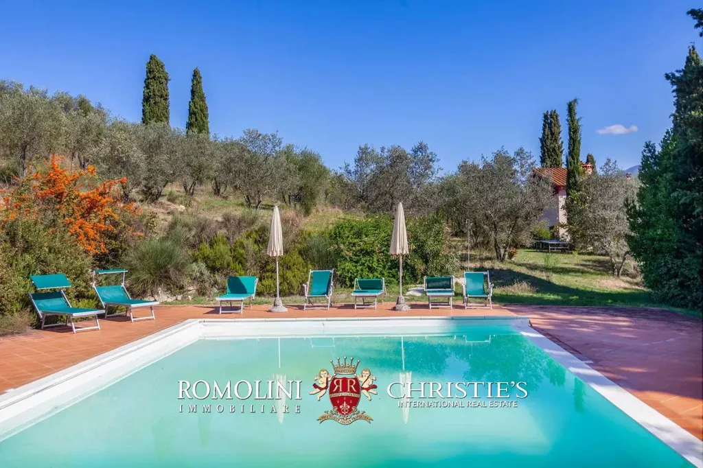 Pool - Villa with Vineyard and Pool near Florence