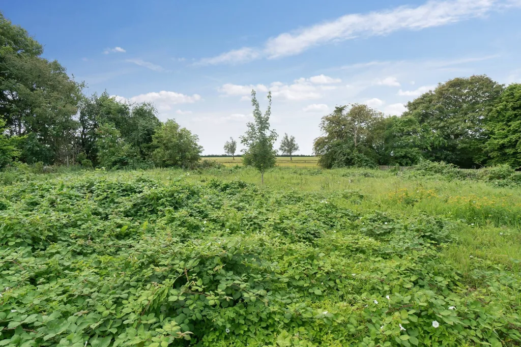 Aed - Year-Round Plot with 5G Coverage in Store Heddinge