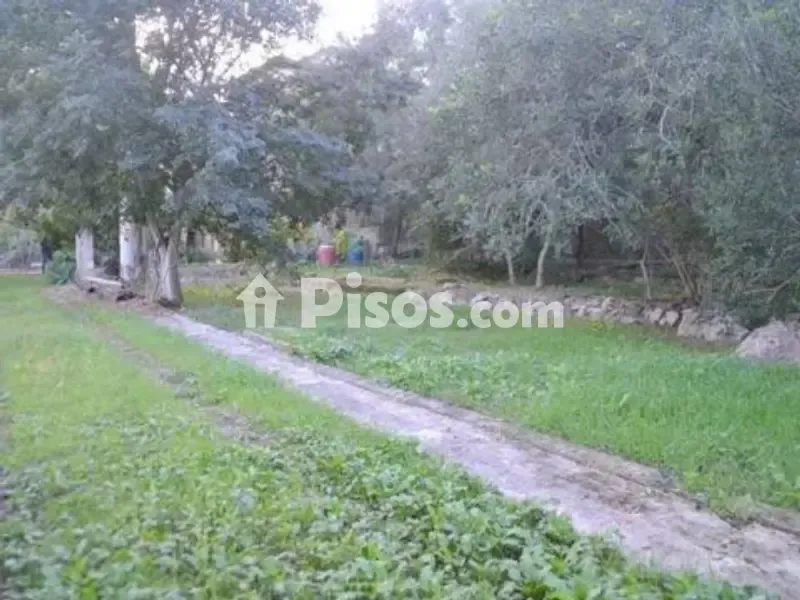 Jardin - Rustic House with 360° Views in Sa Pobla