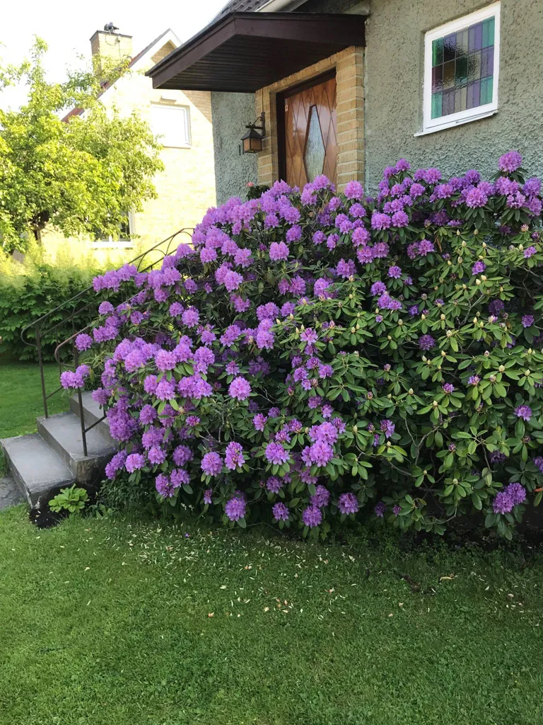 4-toaline maja asukohas Örebro kommun