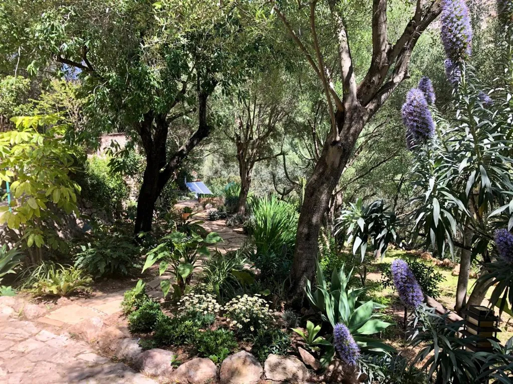 Giardino - Rustic Finca with Pool in Sa Coma Freda, Andratx