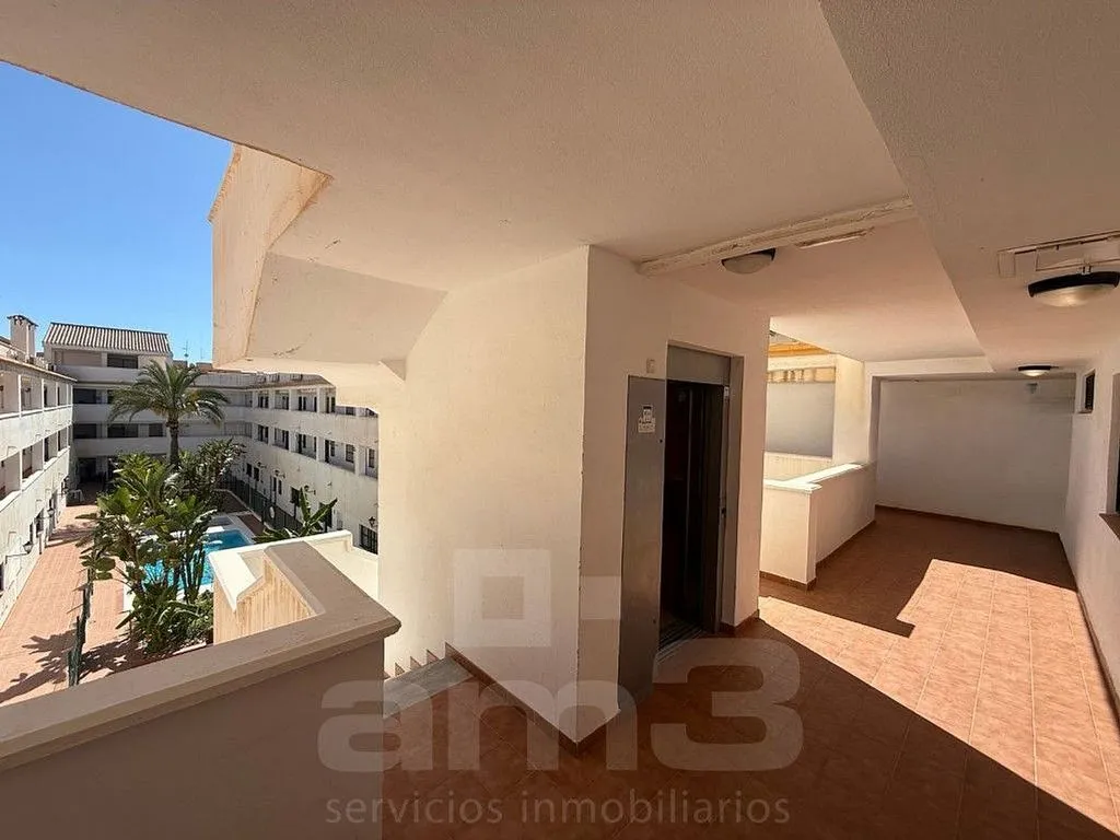 Garden - Penthouse with Pool in Vera Ciudad