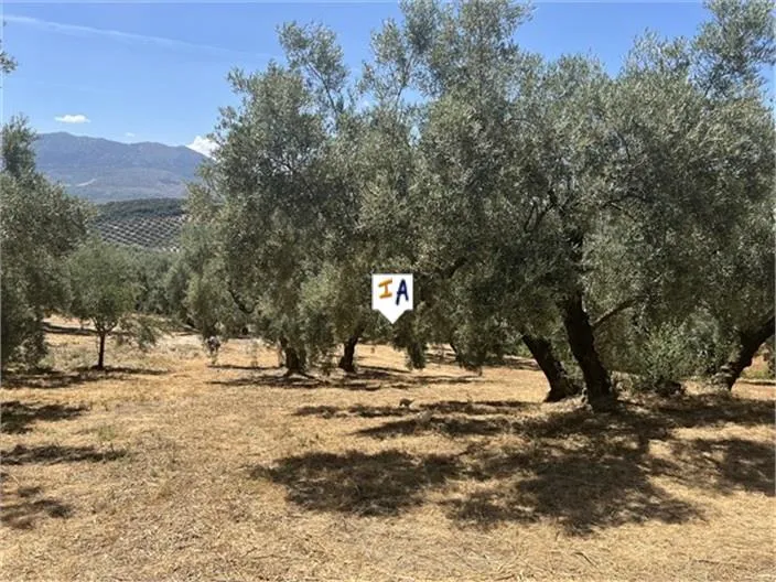 Jardin - Cortijo Villa with Pool in Rute, Andalucia