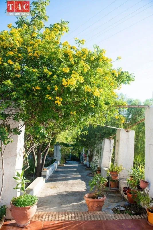 Garden - Luxury Farmhouse with Pool in Ayamonte