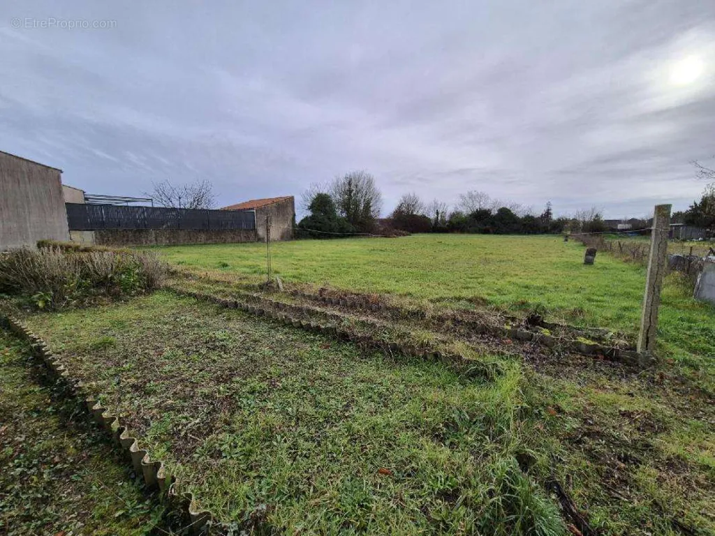 Jardin - Terrain à Surgeres, 1953 m²