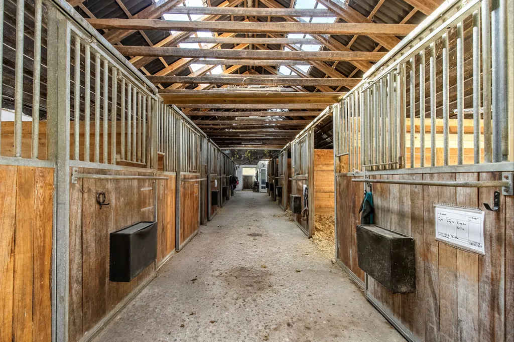 Ingresso - Ride Centre with Stables near True Skov