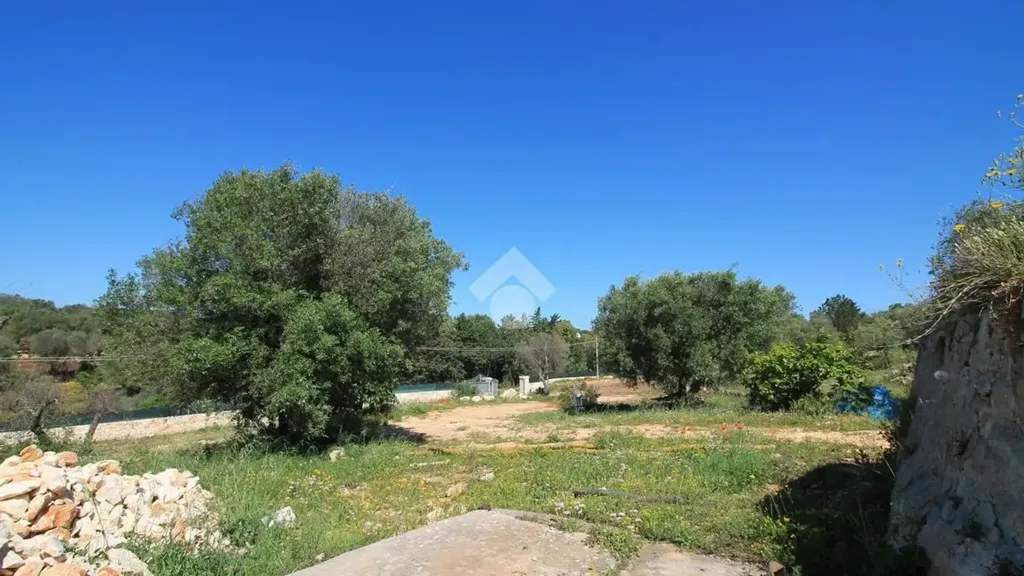 Aed - Rustic Trullo with Panoramic View in Ostuni