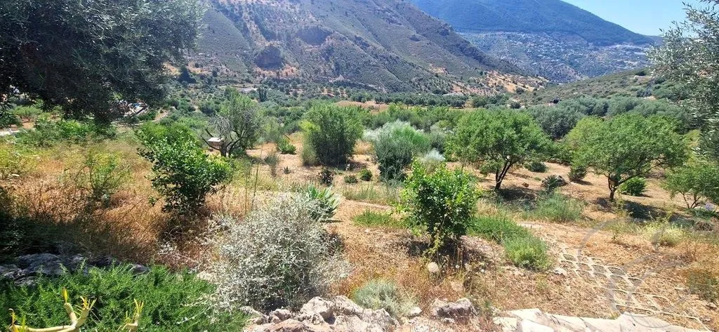 Garden - Detached Country House with Pool in Alcaucín