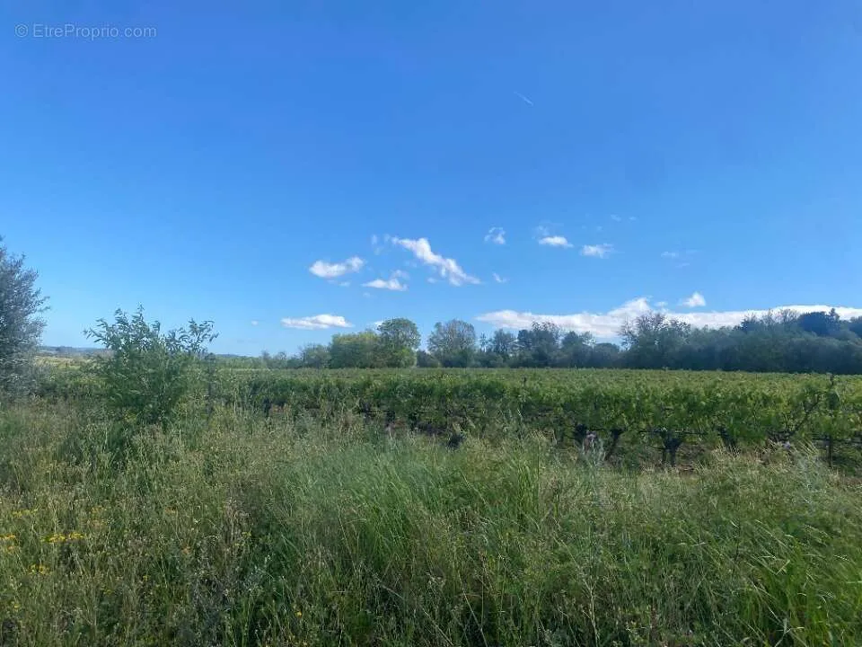Aed - Buildable Plot with Garden in Ginestas