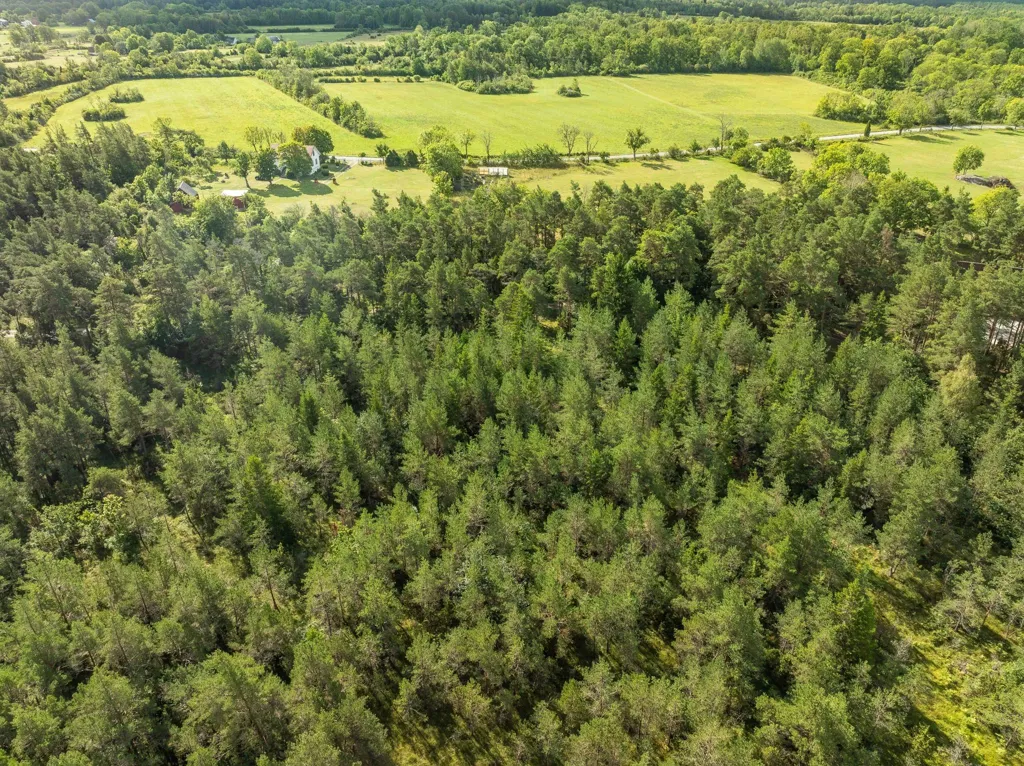 Õhuvaade - Large Plot with Preserved Vegetation in Anga