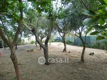 Jardin - Independent Villa with Garden in Macomer