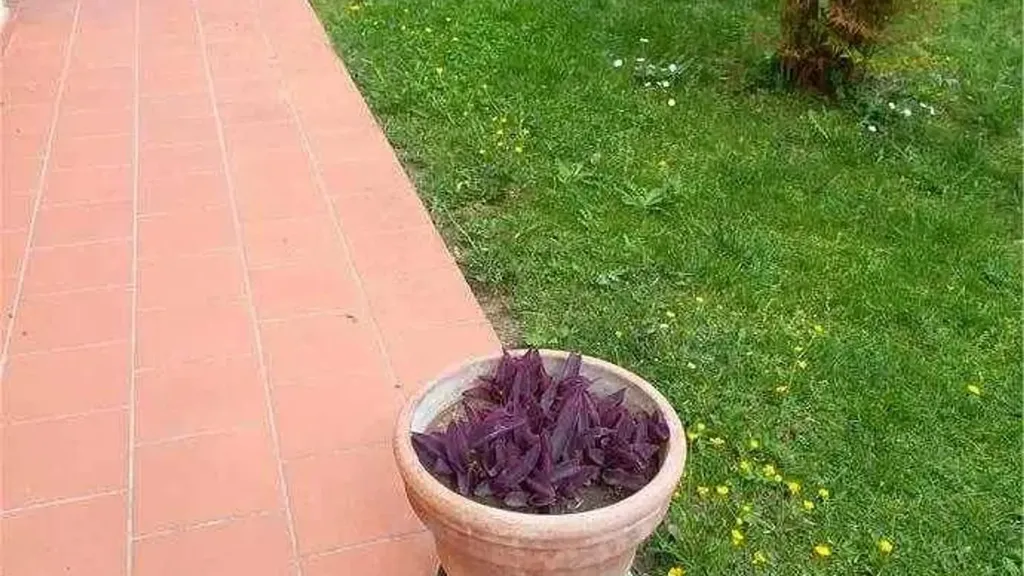 Aed - Independent House with Garden in Fucecchio