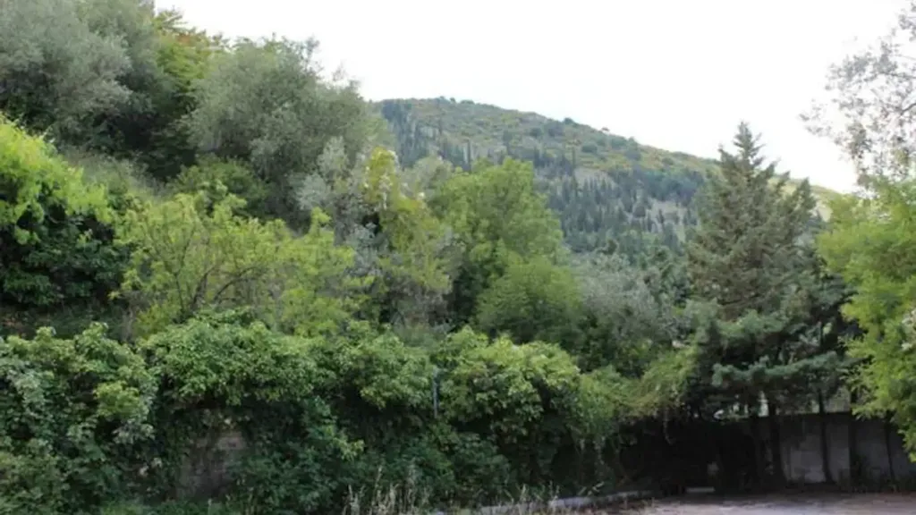 Giardino - Historic House with Chapel in Sassano