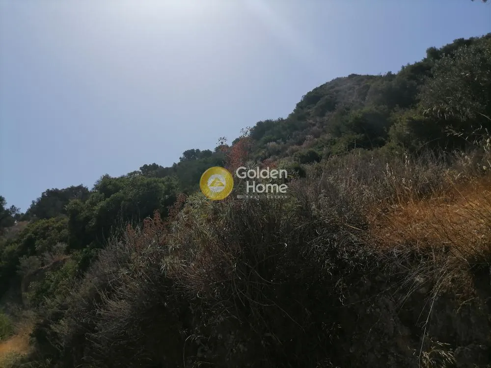 Aed - Agricultural Land with Unrestricted View in Phaistos