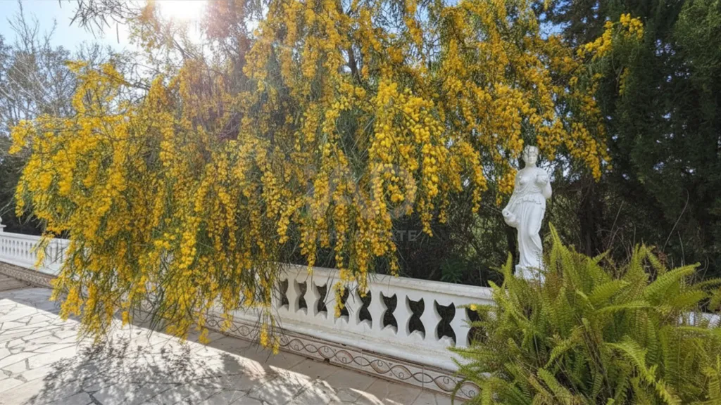 Jardin - Rustic Finca with Pool in Algaida