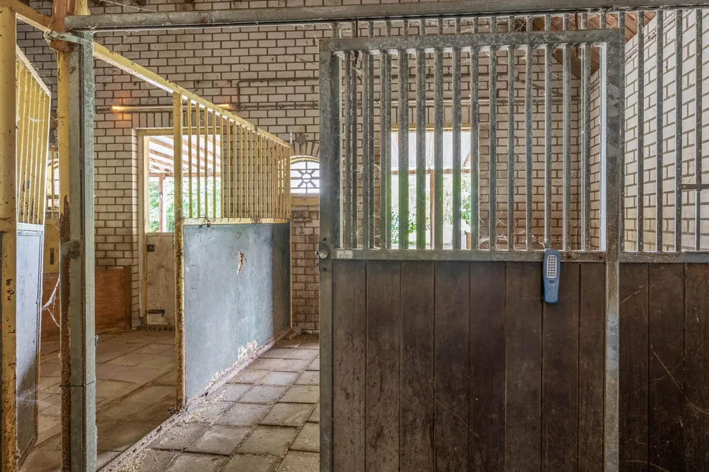 Esik - Villa with Stables in Ewijk