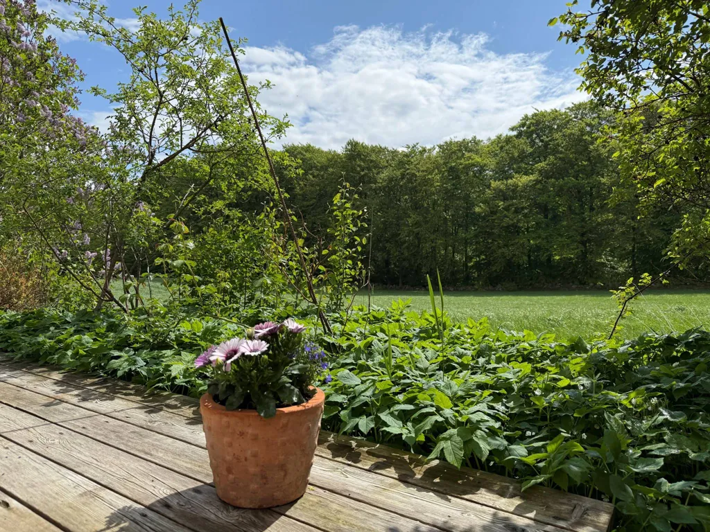 Jardin - Charming Yellow Cottage with Orchard in Scania