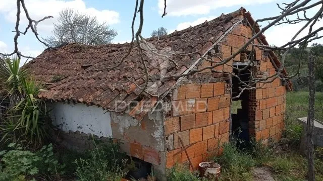 Välivaade - Traditional House with Fruit Trees in Couço, Coruche