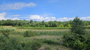 Alle Fotos (3) - Building Land with Countryside View in Porec Area