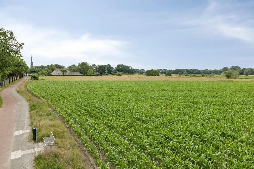 Aed - Free-Standing House with Garden in Breda