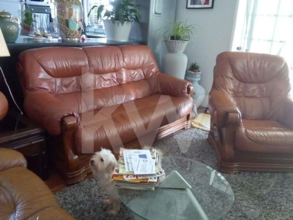 Living Room - Luxury House with Garden in Aveiro