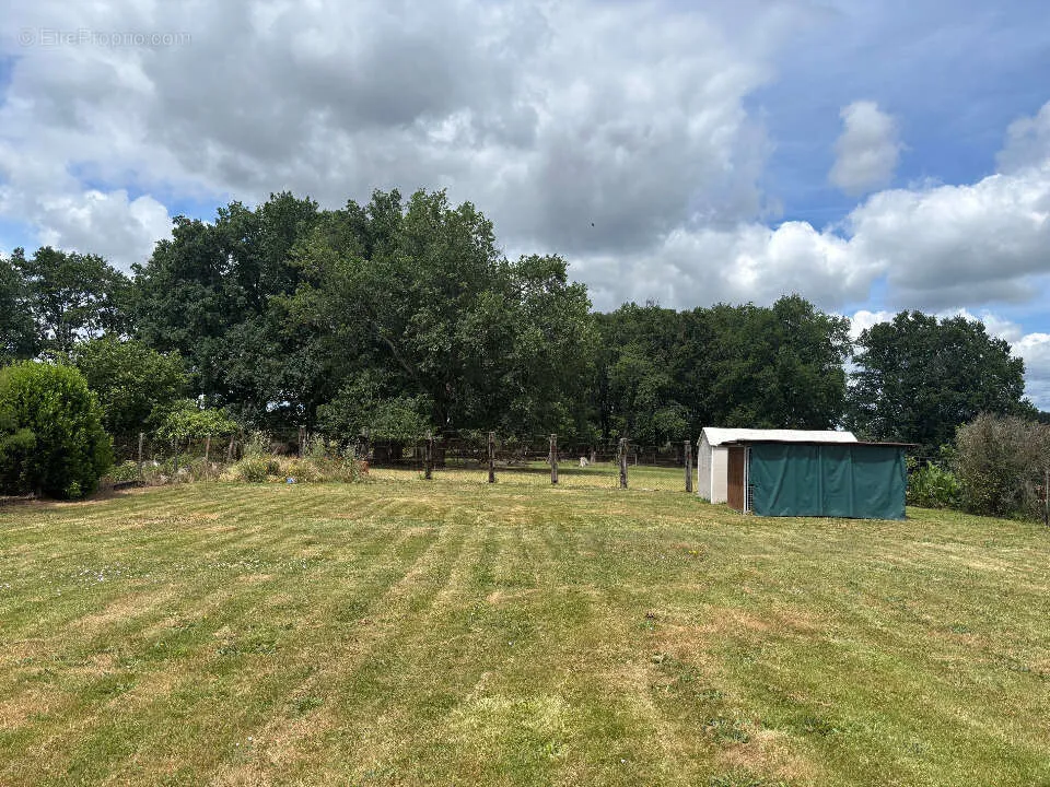 Jardin - Terrain à Saint-Andre-De-Cubzac