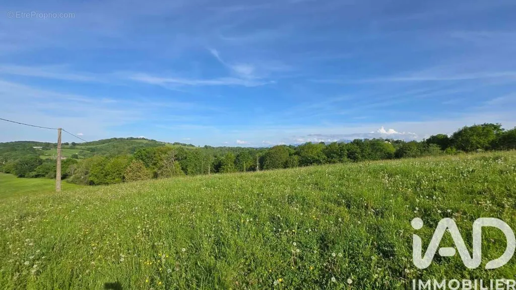 Aed - Land with South Exposure in Esquiule