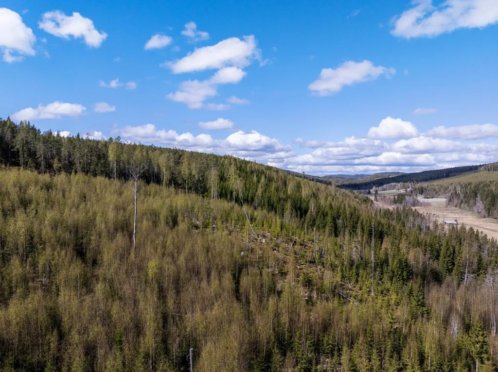 Giardino - Unbuilt Land with Forest in Sundsvall