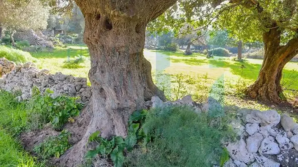 Jardin - Baglio-Style Property with Natural Views in Noto