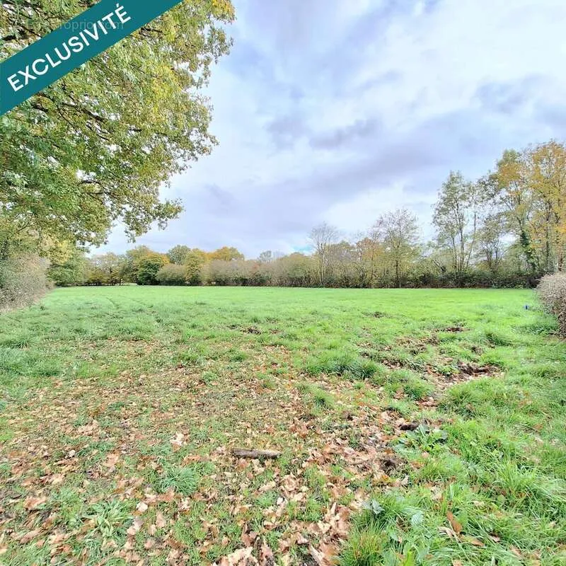 Aed - Buildable Plot with 2,600 m² in Auxy