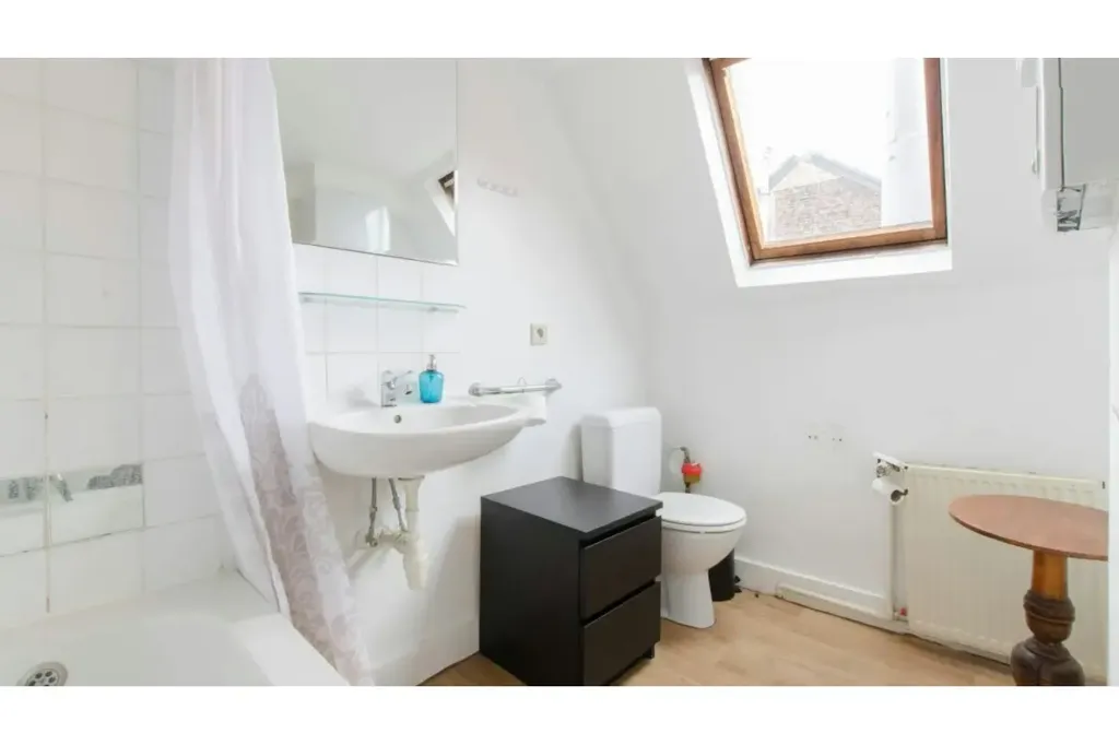 Vannitoad - Loft-Style Studio with Skylights in Brussels Centre